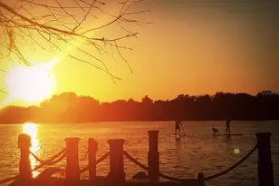 13123 Luntz Point Ln, Windermere, FL 34786 - Photo 49