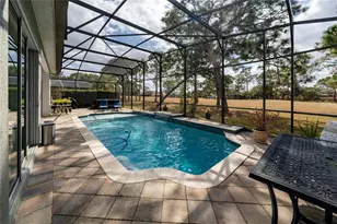 14310 Sports Club Way, Orlando, FL 32837 - Photo 27