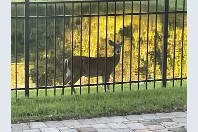 2535 Teton Stone Run, Orlando, FL 32828 - Photo 49