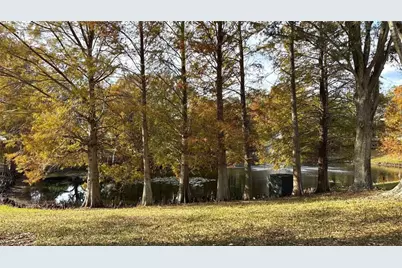 8849 Latrec Avenue #4103, Orlando, FL 32819 - Photo 3