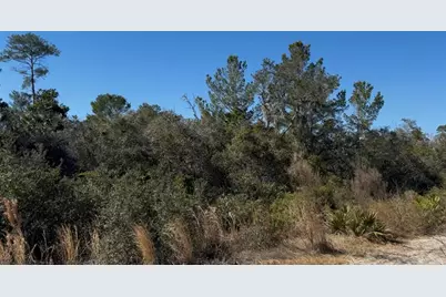 Joyce (Paper) Street, Deltona, FL 32725 - Photo 1