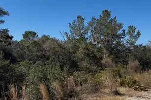 Joyce (Paper) St, Deltona, FL 32725 - Photo 1