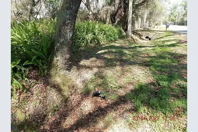 1026 Buist Street, Orlando, FL 32828 - Photo 5