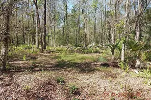 1026 Buist St, Orlando, FL 32828 - Photo 1