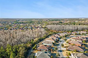 447 Villa Park Rd, Kissimmee, FL 34759 - Photo 33