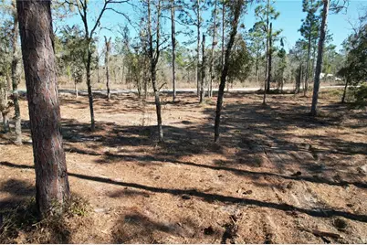 Se 134th Terrace, Morriston, FL 32668 - Photo 7