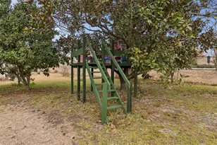 2334 N Hiawassee Rd, Apopka, FL 32703 - Photo 39