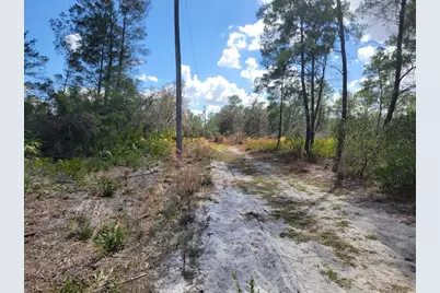 Tennessee Street, Paisley, FL 32767 - Photo 5