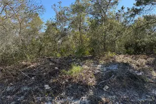 McBride Ave, Deltona, FL 32725 - Photo 1