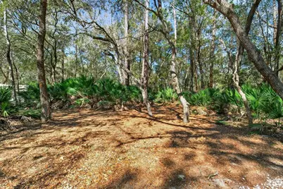 8321 Hardwood Landing Road, Saint Augustine, FL 32092 - Photo 53