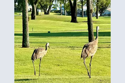 402 Golfview Drive, Davenport, FL 33837 - Photo 23