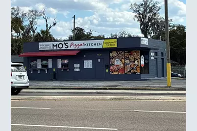 1305 E Baker Street, Plant City, FL 33563 - Photo 9