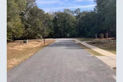 167 Sparkleberry Boulevard, Quincy, FL 32351 - Photo 5