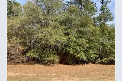 167 Sparkleberry Boulevard, Quincy, FL 32351 - Photo 3