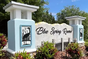 214 Glass Onion Dr, Howey in the Hills, FL 34737 - Photo 3