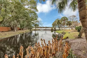 1136 Lake Willisara Cir, Orlando, FL 32806 - Photo 47