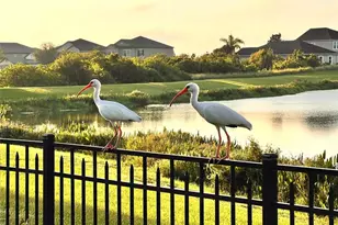 13226 Jervey St, Windermere, FL 34786 - Photo 5