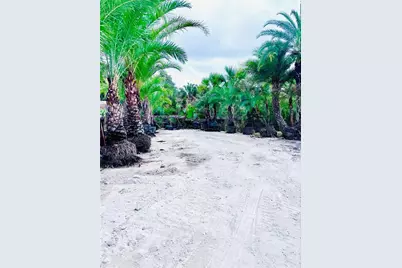 8440 County Road 48, Yalaha, FL 34797 - Photo 7