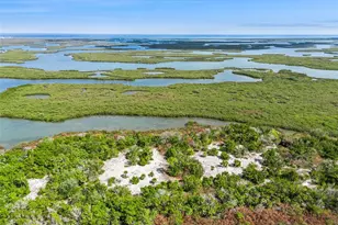 175 Coleman St, Edgewater, FL 32141 - Photo 33