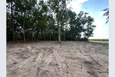 00 NW 115th Street, Chiefland, FL 32626 - Photo 3