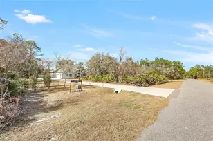 42151 Tamarac St, Eustis, FL 32736 - Photo 55