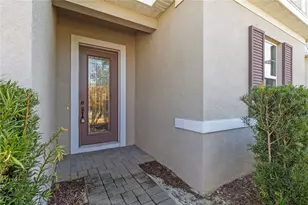 2423 Zaballina Pl, Davenport, FL 33897 - Photo 3