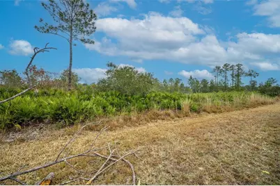 Honeysuckle Street, Eustis, FL 32736 - Photo 7