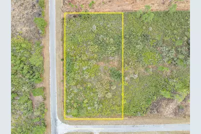 Honeysuckle Street, Eustis, FL 32736 - Photo 1