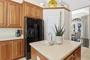 10931 Boca Pointe Dr, Orlando, FL 32836 - Photo 13