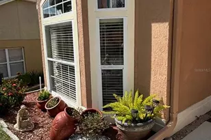 701 White Ivey Ct, Apopka, FL 32712 - Photo 3