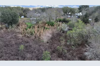 9924 Art Acres Road, Dover, FL 33527 - Photo 5