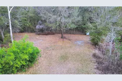 9924 Art Acres Road, Dover, FL 33527 - Photo 7