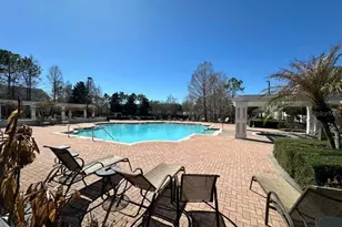 225 Southern Pecan Cir, Winter Garden, FL 34787 - Photo 27