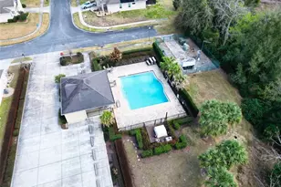 1450 Merion Dr, Mount Dora, FL 32757 - Photo 41