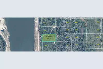 1473 Dill Road, Orlando, FL 32820 - Photo 3