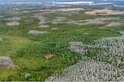 Dill Road, Orlando, FL 32820 - Photo 5