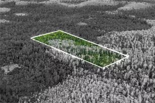 Dill Rd, Orlando, FL 32820 - Photo 1