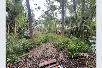 242 Fraser Road, Debary, FL 32713 - Photo 9