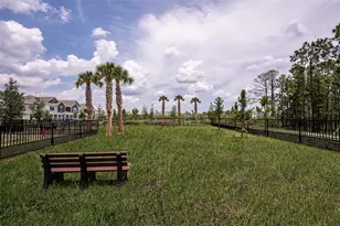 14744 Field Daisy Dr, Winter Garden, FL 34787 - Photo 41