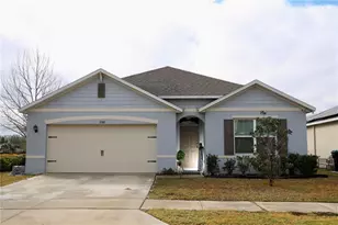 3332 Logan Berry Dr, Mount Dora, FL 32757 - Photo 5