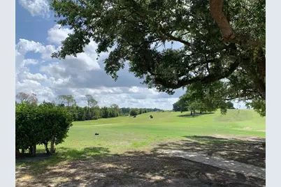 2122 Oak Grove Drive #79, Zellwood, FL 32798 - Photo 49