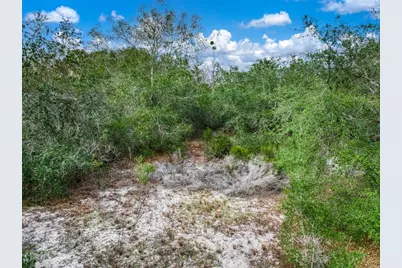 113 Walker Avenue NE, Lake Placid, FL 33852 - Photo 13