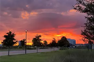 13321 Oakenshaw Ln, Orlando, FL 32832 - Photo 59