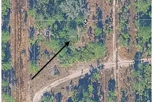 2074 West Lansing Circle, Alva, FL 33920 - Photo 3