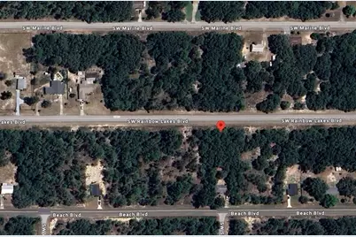 23020 SW Rainbow Lakes Boulevard, Dunnellon, FL 34431 - Photo 3