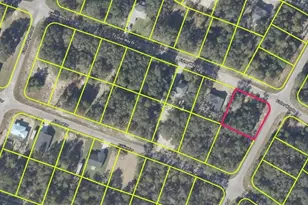 Fisher Way Dr, Ocklawaha, FL 32179 - Photo 1