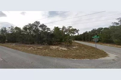 Fisher Way Drive, Ocklawaha, FL 32179 - Photo 3