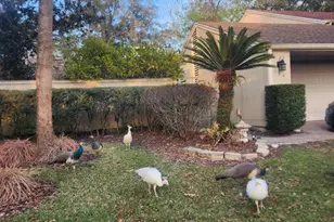 104 Juniper Ln, Longwood, FL 32779 - Photo 1