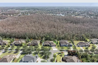 3405 Burberry Place, Saint Cloud, FL 34772 - Photo 43