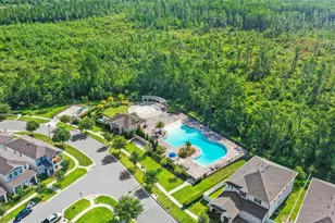 15306 Lebeau Loop, Winter Garden, FL 34787 - Photo 47